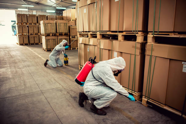 Best Best Pest Control Companies  in Bull Mountain, OR