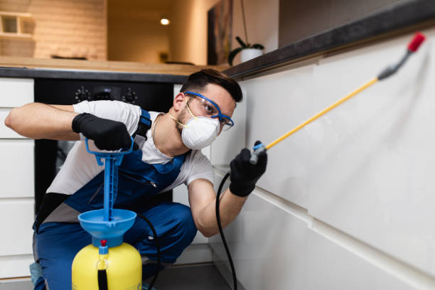 Best Cockroach Control Services  in Bull Mountain, OR