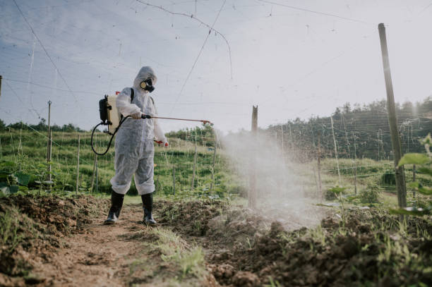 Pest Prevention Services in Bull Mountain, OR