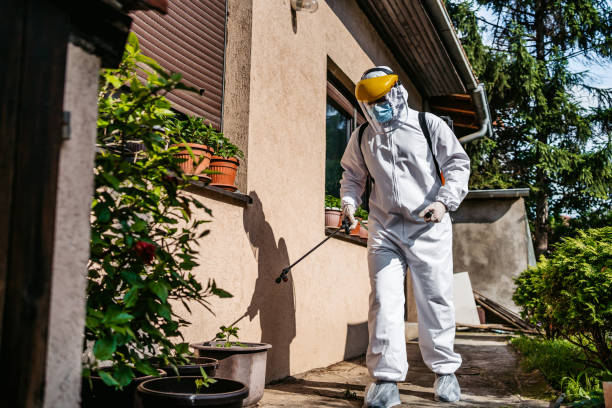 Best Local Pest Control Services  in Bull Mountain, OR