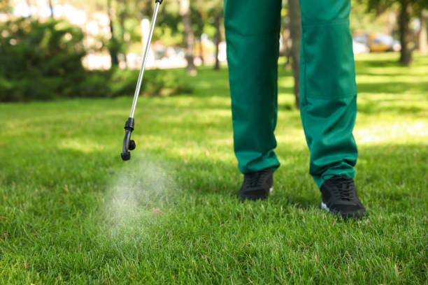 Best Affordable Pest Control Services  in Bull Mountain, OR