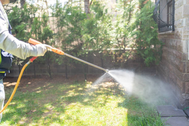 Best Affordable Pest Control Services  in Bull Mountain, OR