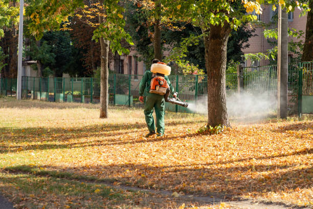 Reliable Bull Mountain, OR Pest Control Solutions